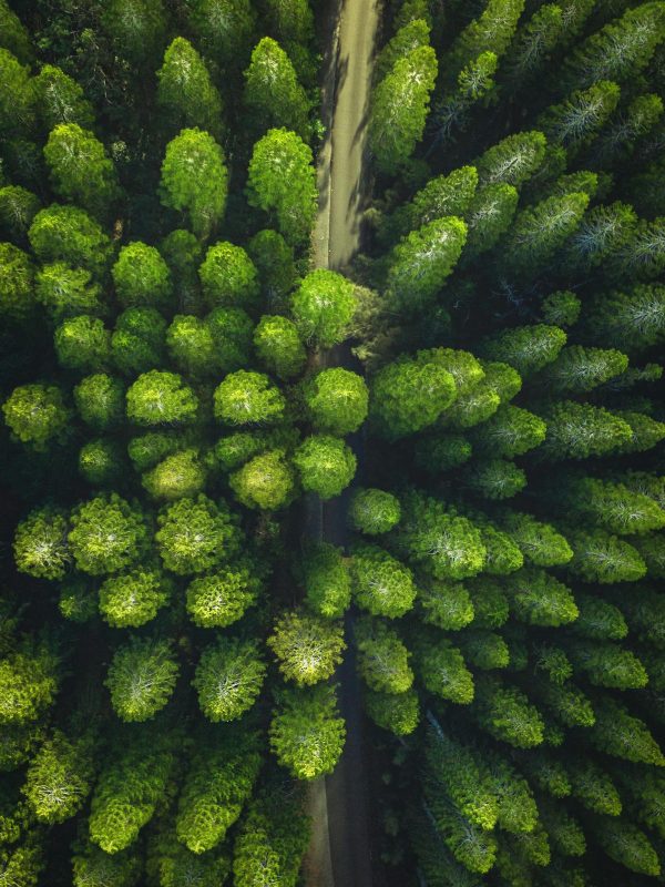 Energetic Leadership_Salespage